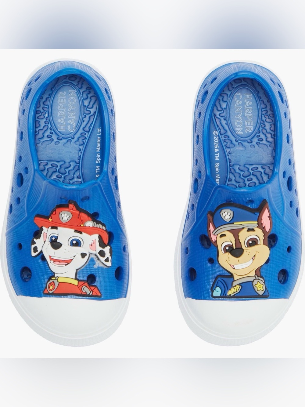 Harper Canyon Paw Patrol Mismatched Water Shoe